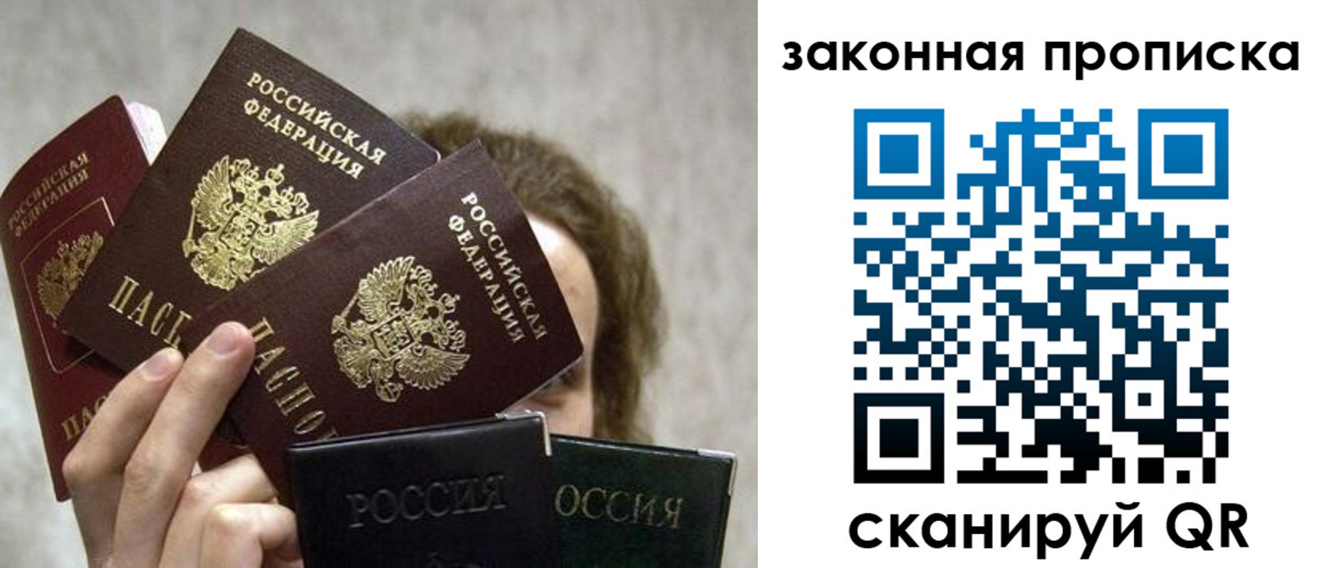 прописка законно в Звенигово